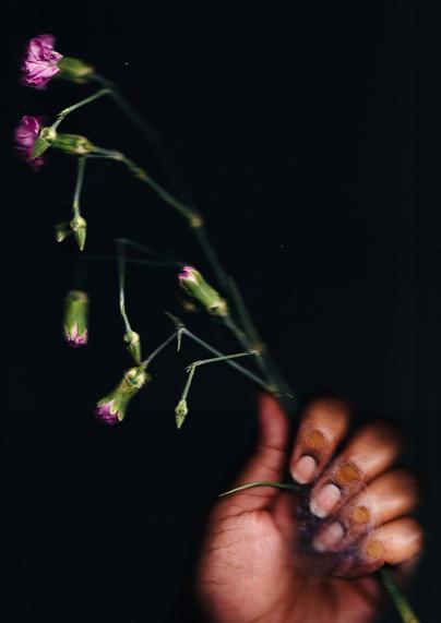 A close-up photograph of a hand holding a delicate branch of small pink flowers against a dark background. The image has a soft focus and a slightly distorted effect, creating a dreamlike or ethereal quality.