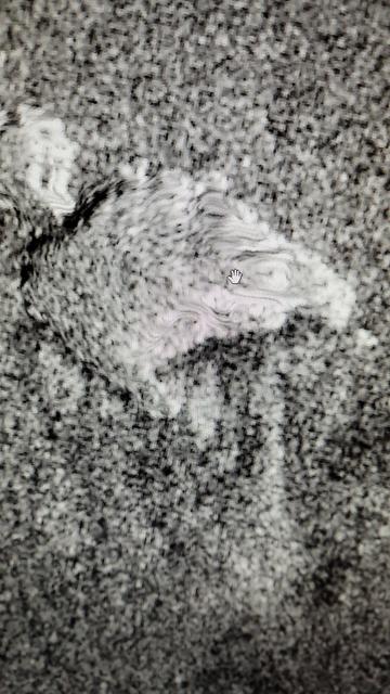 Anydros Island I'm black and white seen on satellite radar image.