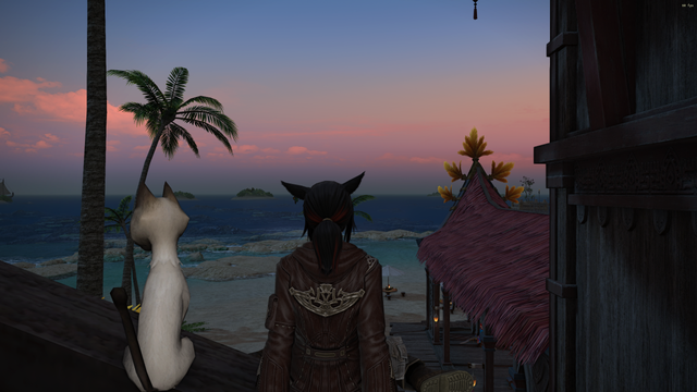 My FFXIV Miqo'te and (unusually) one of her cat pets/minions sat looking out at the dawn rising over the sea in Tuliyollal.