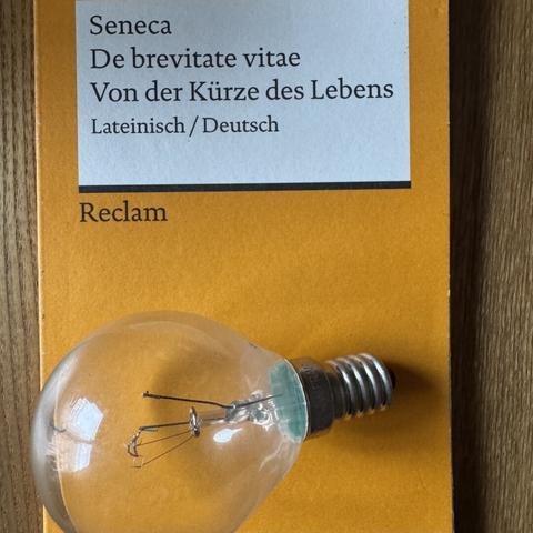 Seneca
De brevitate vitae
Von der Kürze des Lebens
Lateinisch/Deutsch

Reclam

Glühbirne