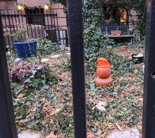 Photograph of the front yard to a brownstone, somewhat overgrown with green ivy. The photo is taken through three cast iron fence bars, all painted black. Between the second and third bars is a slightly wilted orange decorative pumpkin in an orange knit hat. The pumpkin is sitting on top of a flattening decorative pumpkin.