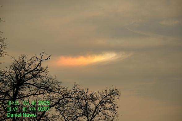 Foto einer in Regenbogenfarben leuchtenden Federwolke, die sich in der Bildmitte von links rot angefangen über orange und gelb in der Mitte bis rechts zieht, wo grün und blau nur sehr fahl zu sehen sind, da die Sonne noch immer für einen hellen Wolkenhimmel sorgt. Die gesamte links untere Ecke des Fotos ist mit der Silhouette von Baumzweigen bedeckt, während sich sonst im Hintergrund eine Wolkendecke ausbreitet.
Unten links im Bild befindet sich mein giftgrünes Wasserzeichen.