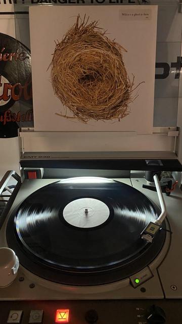 Vinyl LP „Wilco-A Ghost Is Born“ auf einem Plattenspieler.