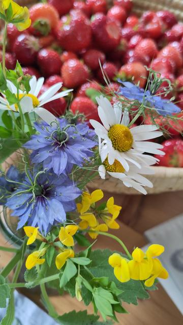 In the foreground there is a bouquet of summer flowers, daisies, love-in-a-mist and ladies finger. There is a big basket full of homegrown strawberries in the background.