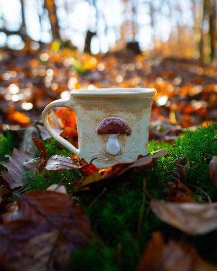 A ceramic mug I made with a mushroom motif is standing nestled in moss and fallen leaves on the forest floor.