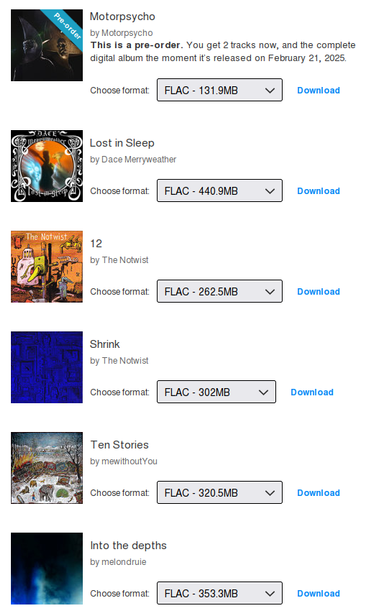 Screenshot of the Bandcamp receipt listing the albums:
MotorPsycho by MotorPsycho,
Lost in Sleep by Dace Merryweather,
12 by The NoTwist,
Shrink by The NoTwist,
Ten Stories by meWithoutYou,
Into the depths by melondruie