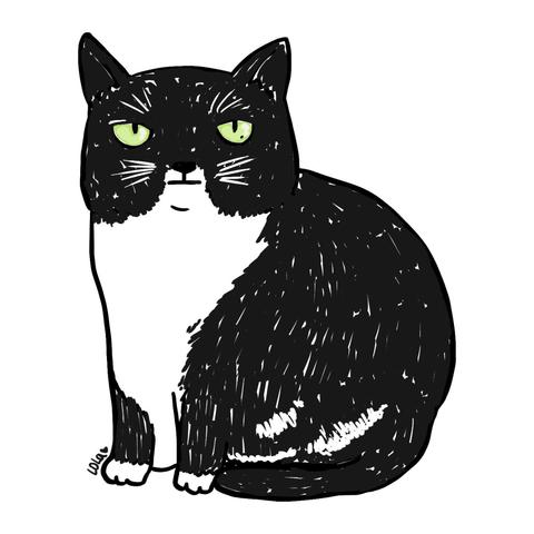 A doodle of a tuxedo cat, black and white, with not amused face.