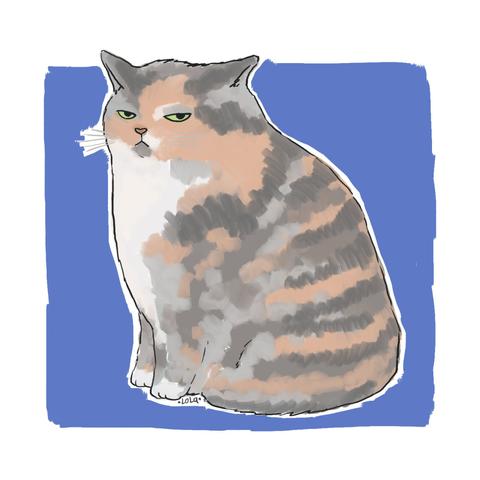 A doodle of a chonky diluted tortie, sitting, with judging face.