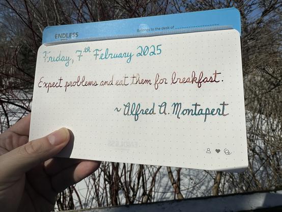 A pen quote of Alfred A. Montapert that reads, “Expect problems and eat them for breakfast.”

Written in Jacques Herbin Turquoise de Perse, Dominant Industry Ginger Chicken & Jacques Herbin Emerauld de Chivor.