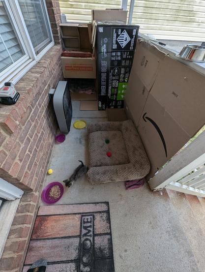 small front brick and concrete porch lined with cardboard boxes, a box fan, a pet bed, plates of cat food, and scattered kittens throughout