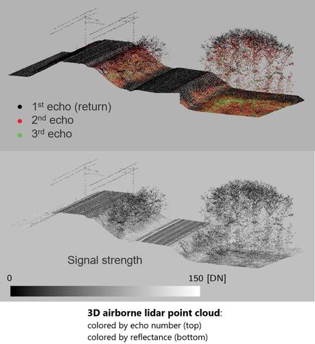 graphics - 3D airborne lidar point cloud: colored by echo number (top); colored by reflectance (bottom)