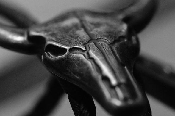 Monochrom image of the brooch or clasp of a bolo-tie. the clasp is a stylized figtur of a skull of a long horn cow.