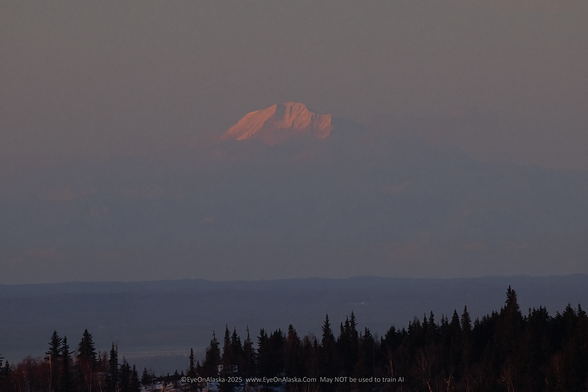 Just the summit of Denali glows orange as the sun sets.