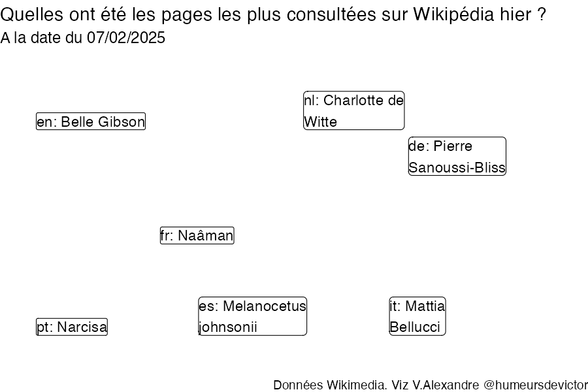Recherches sur Wikipedia2025-02-08