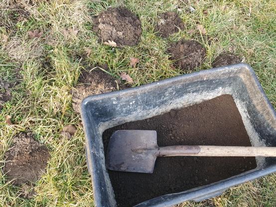 Ein alter Mörtelkübel steht neben ein paar Maulwurfshügeln auf einer Wiese. In dem Kübel befindet sich feinkrümelige, dunkle Erde von bereits "geernteten" Maulwurfshügeln, darauf liegt ein Spaten.