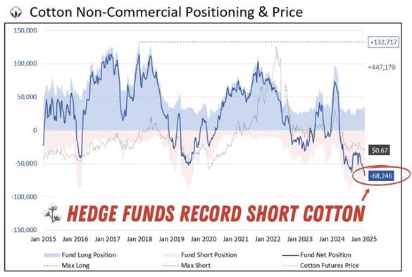 📊 Los #Hedgefunds tienen apuestas CORTAS récord en el mercado del #Algodón. 🧵 EE.UU. pierde competitividad, la demanda china y global es baja 🌏, y los traders de momentum se suman a grandes apuestas cortas. 📉 #COT