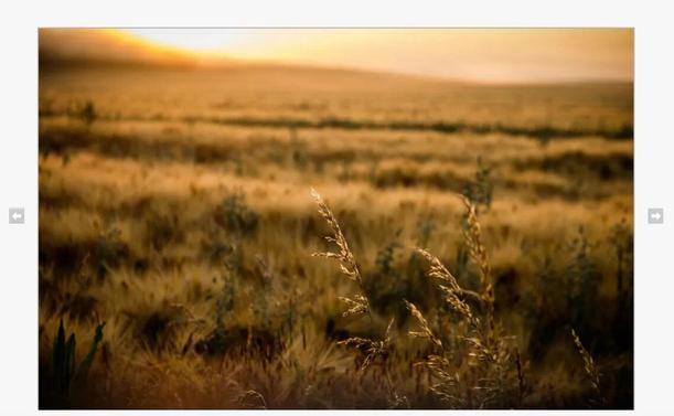 Photographie de QSphotography