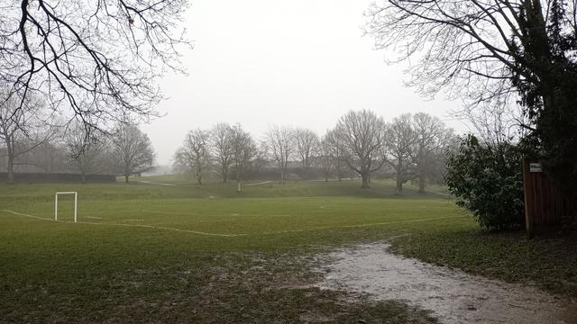 A damp dark grey February day in UK. The view is a park football pitch with a worn muddy path on the right. In the distance a grassy bank with mature, bare, trees. A couple of mature trees frame the foreground