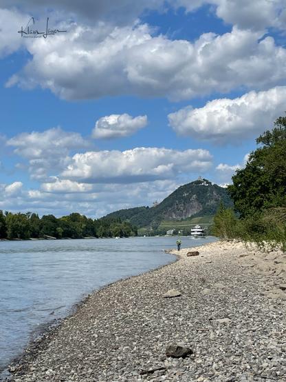 Das Foto zeigt einen Blick von der Südspitze der Insel Grafenwerth (Bad Honnef)  über den Rhein  auf den Drachenfels und die davor liegenden Weinberge. Auf dem rechten unteren Teil sieht man das steinige Rheinufer der Insel Grafenwerth. Der Himmel blau mit lockeren Wolken.