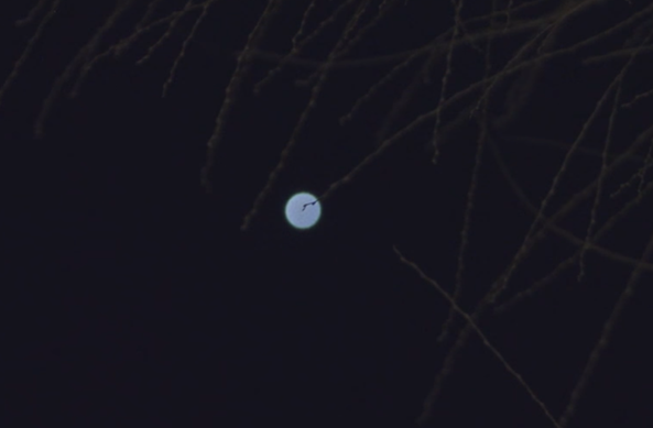 A blue-tinted full moon, small in a dark sky