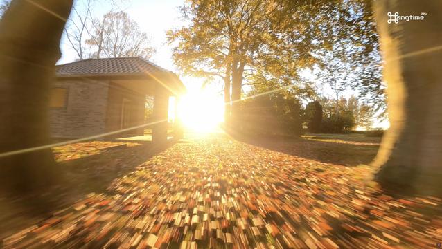 FPV flight into the sunlight.