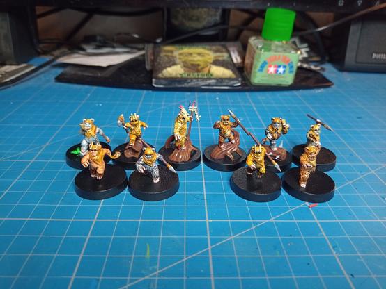 Painted ewok minis for star wars legion front side view.