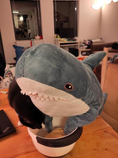A Blåhaj cuddly shark sitting at the table and kneading dough in a bowl. A tuxedo cat (only black is visible except for a white nose and one white paw) sneaks up from behind and is putting his head in the bowl.

Hapi is having a hard time: also Chip wanted to steal from the dough...