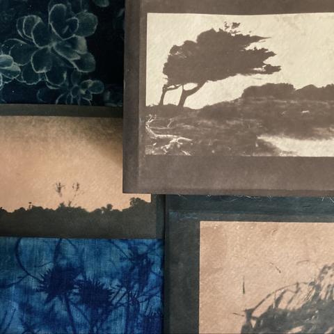 image of photos printed with cyanotype then toned with tea. The negatives were made from digital photos printed on copier paper then waxed to make them translucent.