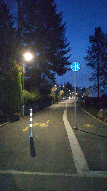 Blick auf einen Veloweg in beide Richtungen, einem Poller zwischen den beiden Fahrtrichtungen und rechts daneben ein baulich vom Veloweg getrennter Gehweg. Beide Wege mit passender, gelber Bodenmarkierung. Zwischen Gehweg und Veloweg ein stark reflektierendes, blaues Verkehrsschild für getrennten Velo- und Fussweg. Links 2-3 sehr hohe Nadelbäume, rechts ein weiterer alleinstehender Nadelbaum Oben dunkelblauer, klarer Himmel.