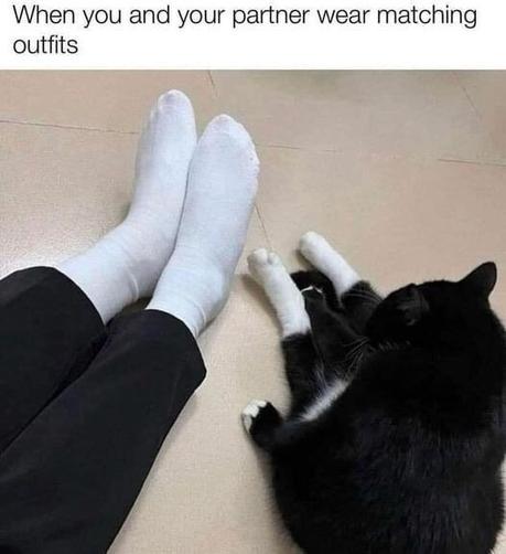 Meme: A tuxedo cat sitting with black legs and white paws outstretched. Next to it is its human wearing black pants and white socks. Caption: When you and your partner wear matching outfits.