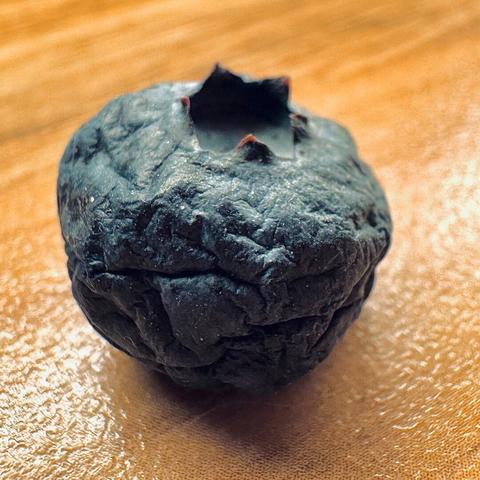 Eine verschrumpelte Blaubeere.