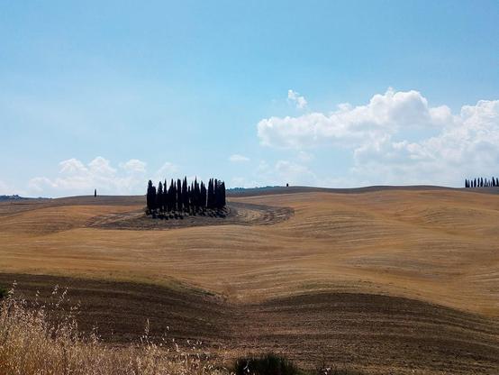 Paesaggi Toscani