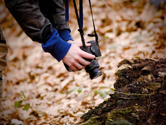 L'image montre une personne tenant un appareil photo près du sol d'une forêt. Le sol est couvert de feuilles et la personne semble photographier quelque chose de petit.