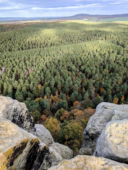 A dense forest stretches to the horizon, viewed from above between two rocky outcroppings.