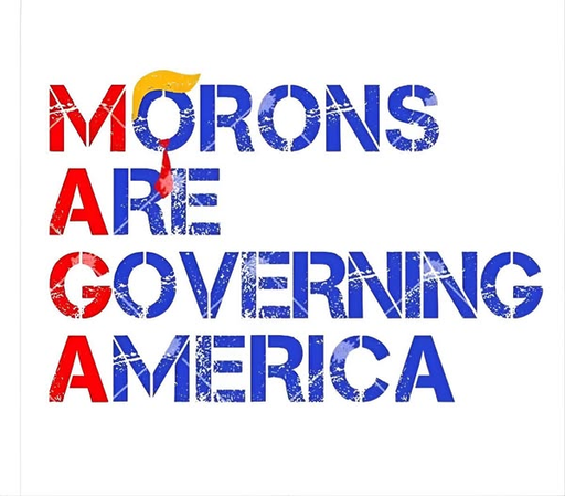 Morons
Are
Governing
America