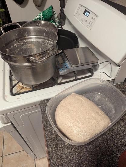Dough relaxing in a long container getting ready to rest for a bit in the fridge. Scale and messy pot in the background