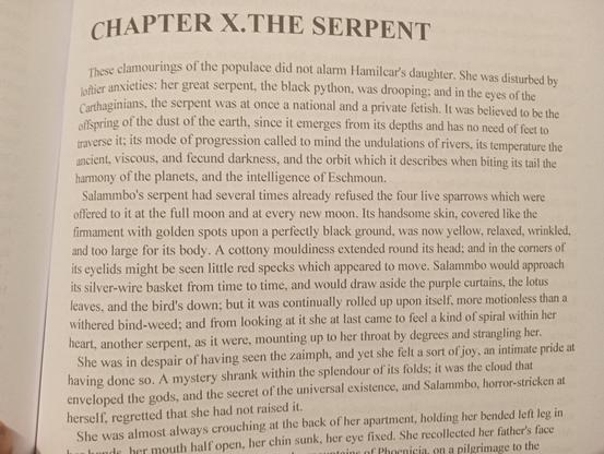 Salammbo's serpent had several times already refused the four live sparrows which were offered to it at the full moon and at every new moon. Its handsome skin, covered like the firmament with golden spots upon a perfectly black ground, was now yellow, relaxed, wrinkled, and too large for its body. A cottony mouldiness extended round its head; and in the corners of its eyelids might be seen little red specks which appeared to move. Salammbo would approach its silver-wire basket from time to time, and would draw aside the purple curtains, the lotus leaves, and the bird's down; but it was continually rolled up upon itself, more motionless than a withered bind-weed; and from looking at it she at last came to feel a kind of spiral within her heart, another serpent, as it were, mounting up to her throat by degrees and strangling her.