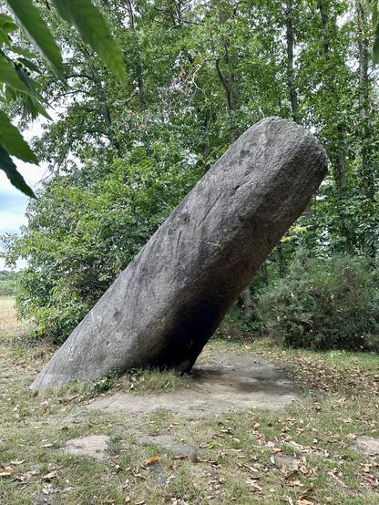 A huge (8 metre long) granite standing stone, leaning to the right at a rather precarious 45 degree angle. Faint carvings and decoration can be seen on the surface of the menhir. The stone is in a small clearing, and behind it are trees in leaf.

Photograph taken by me, 2 September 2023.