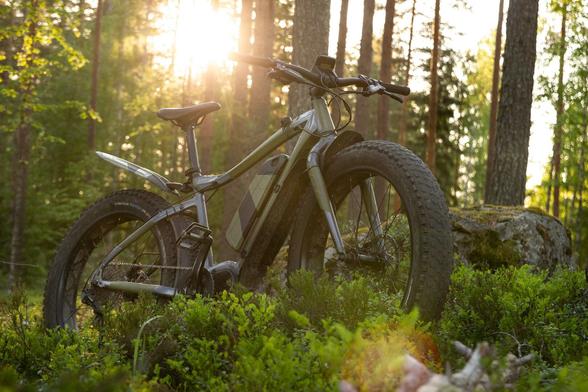 Fat tire mountain bike in a Finnish forest with warm tone sunrays coming from behind