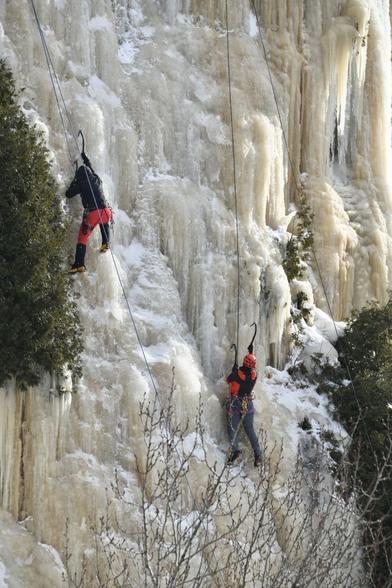 Two ice climbers scale a wall of somewhat yellowed ice, between cedar trees that grow from the cliffside. The sun lights up the ice and casts hard shadows. In the foreground, the top of a deciduous tree at the bottom of the frame.