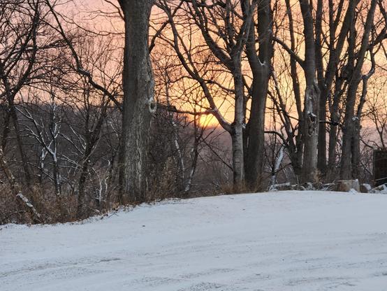 A glowing orange sunset seen through a small stand of trees at the edge of a ravine. The driveway in the foreground is covered with a light coating of snow.