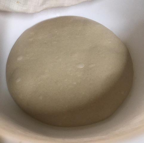 dough during proofing -  041020d