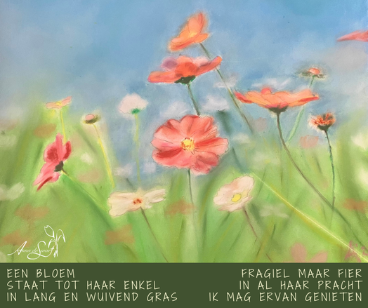 een bloem
staat tot haar enkel
in lang en wuivend gras

fragiel maar fier
in al haar pracht
ik mag ervan genieten

Gedicht en tekening van bloemen in het gras gemaakt door Anna de Swart.