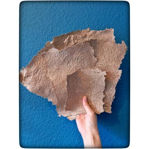 Eine Hand hält ein paar Seiten selbstgeschöpftes Papier in die Höhe. Die Seiten sind aufgefächert vor einer blauen Wand.