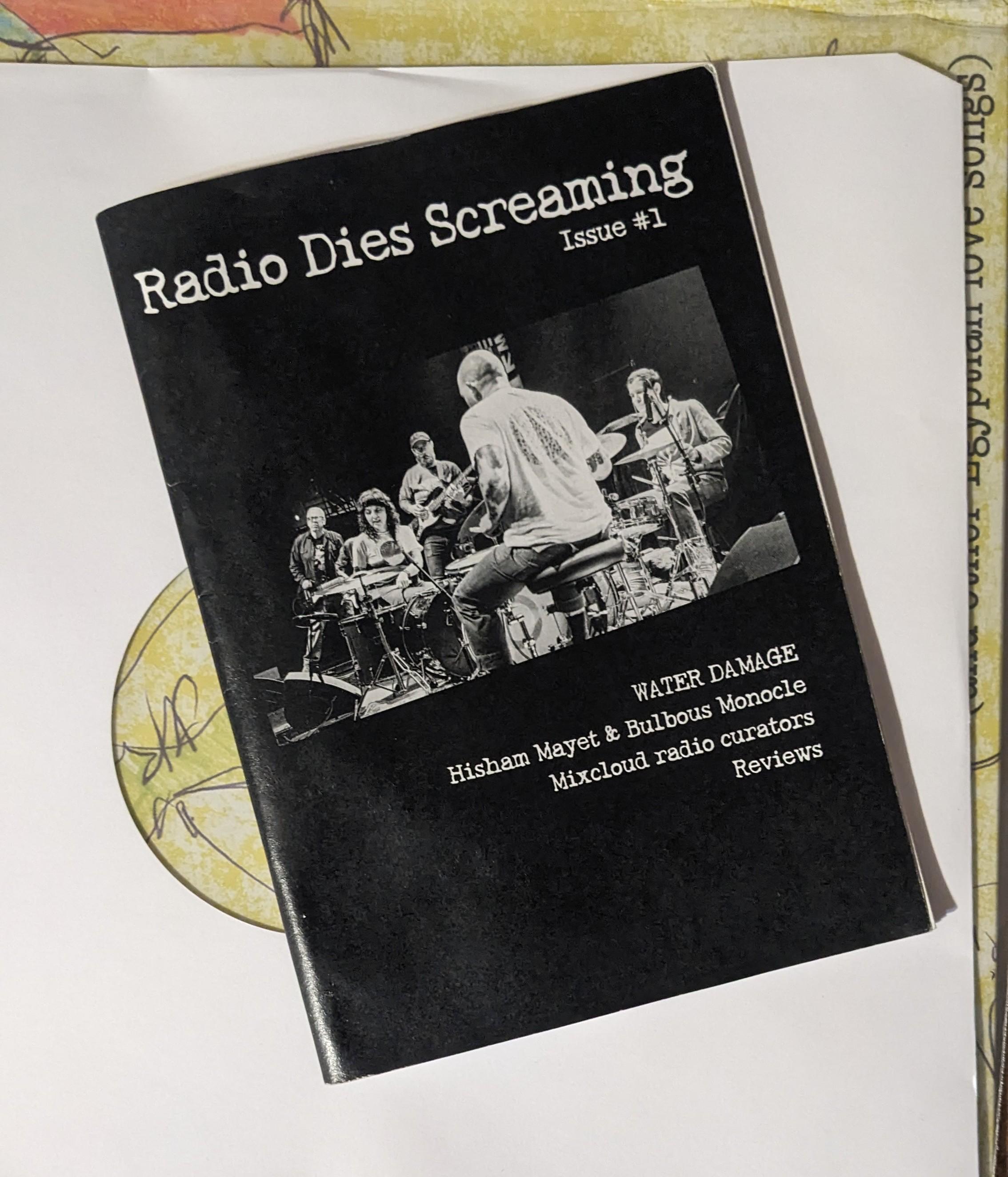 Radio Dies Screaming with Water Damage on the cover