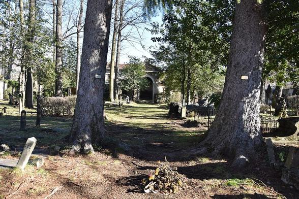 Vecchio Cimitero di Viggiù