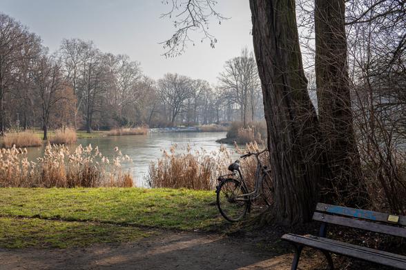 Szene am Teich - sonniges Wetter, ein altes Fahrrad und eine Bank sind zu sehen.
