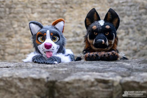 Two canine fursuiters peeking over a stone wall, their heads resting on their paws, with the stone wall of a castle ruin as background.