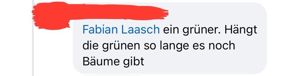Socialmedia Post auf Facebook gerichtet an Fabian Laasch „ein grüner. Hängt die grünen so lange es noch Bäume gibt“