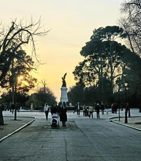 A sunset view of Madrid's Retiro Park captures the iconic Fallen Angel statue (El Ángel Caído) silhouetted against a golden sky. The statue stands prominently on a pedestal in the center of the composition, surrounded by tall trees casting long shadows. The foreground shows a wide paved pathway where people stroll, some pushing strollers, while others walk their dogs. The scene is illuminated by traditional lamp posts along the path. The winter trees frame the statue with their bare branches, creating a natural arch effect. The sky displays warm yellow and orange hues typical of dusk, contrasting with the dark silhouettes of the pine trees and deciduous vegetation. The overall composition follows the rule of thirds, with the statue positioned centrally and the path leading the viewer's eye toward it.